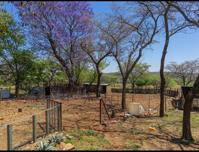 FARM FOR SALE IN DE WAGENSDRIFT AH